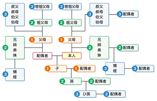 三等親示意圖